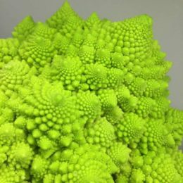 romanesco